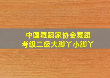 中国舞蹈家协会舞蹈考级二级大脚丫小脚丫