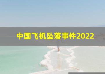 中国飞机坠落事件2022