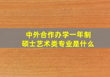 中外合作办学一年制硕士艺术类专业是什么