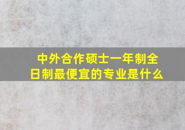 中外合作硕士一年制全日制最便宜的专业是什么