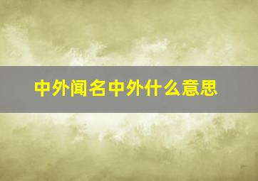 中外闻名中外什么意思