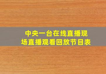 中央一台在线直播现场直播观看回放节目表