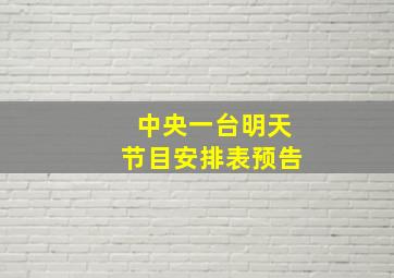 中央一台明天节目安排表预告