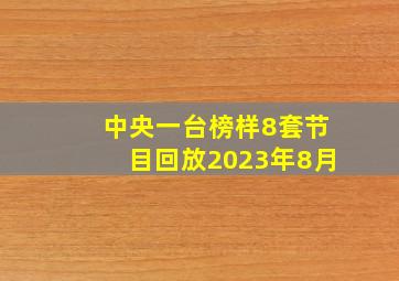 中央一台榜样8套节目回放2023年8月