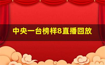 中央一台榜样8直播回放