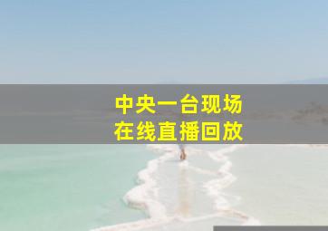 中央一台现场在线直播回放