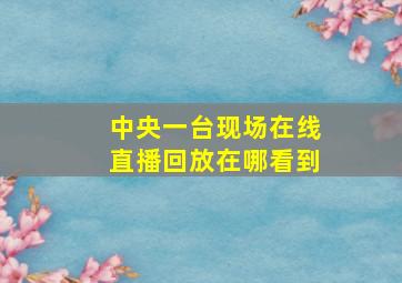 中央一台现场在线直播回放在哪看到