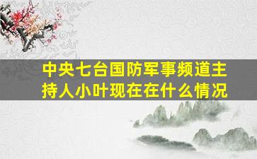 中央七台国防军事频道主持人小叶现在在什么情况