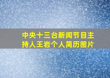 中央十三台新闻节目主持人王岩个人简历图片