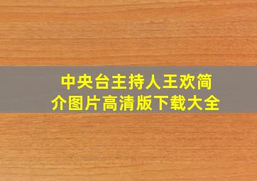 中央台主持人王欢简介图片高清版下载大全