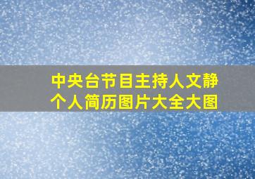 中央台节目主持人文静个人简历图片大全大图