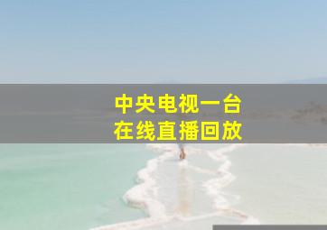 中央电视一台在线直播回放