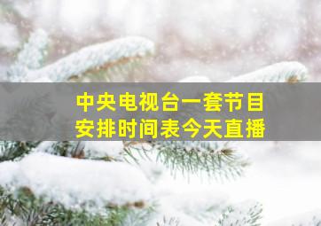 中央电视台一套节目安排时间表今天直播