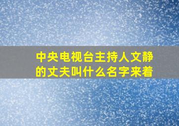 中央电视台主持人文静的丈夫叫什么名字来着