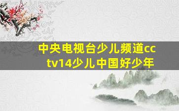 中央电视台少儿频道cctv14少儿中国好少年