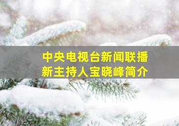 中央电视台新闻联播新主持人宝晓峰简介