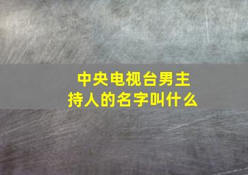 中央电视台男主持人的名字叫什么