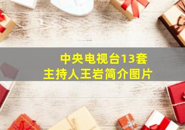 中央电视台13套主持人王岩简介图片