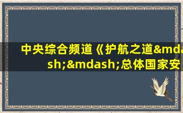 中央综合频道《护航之道——总体国家安全观纵横》