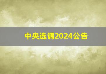 中央选调2024公告