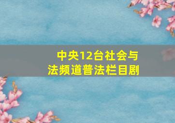 中央12台社会与法频道普法栏目剧