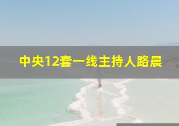 中央12套一线主持人路晨