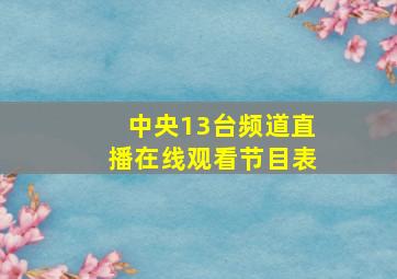 中央13台频道直播在线观看节目表