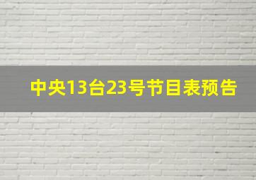 中央13台23号节目表预告