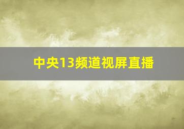 中央13频道视屏直播