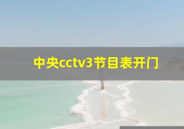 中央cctv3节目表开门