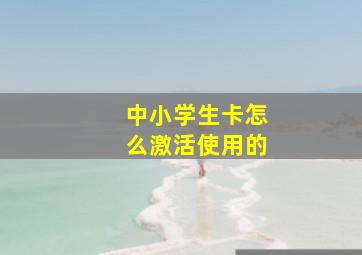 中小学生卡怎么激活使用的