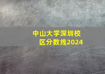 中山大学深圳校区分数线2024