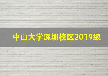 中山大学深圳校区2019级