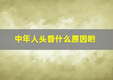 中年人头昏什么原因哟