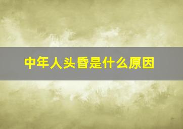 中年人头昏是什么原因