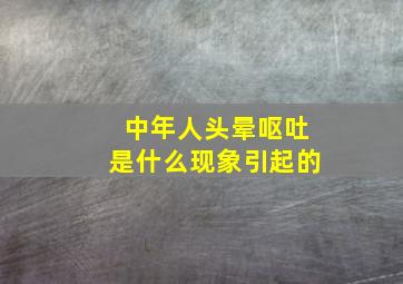 中年人头晕呕吐是什么现象引起的