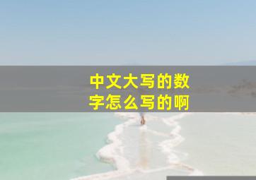 中文大写的数字怎么写的啊