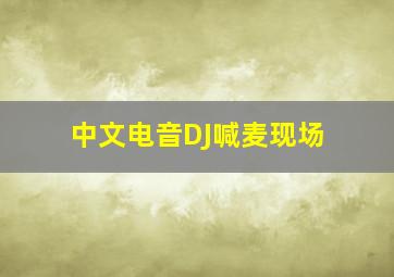 中文电音DJ喊麦现场