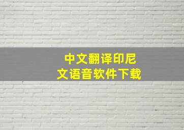 中文翻译印尼文语音软件下载