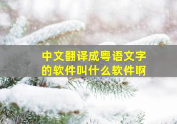 中文翻译成粤语文字的软件叫什么软件啊