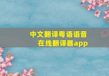 中文翻译粤语语音在线翻译器app