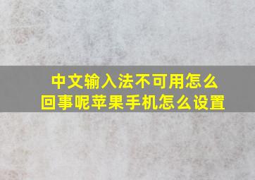 中文输入法不可用怎么回事呢苹果手机怎么设置