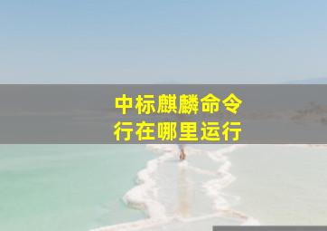 中标麒麟命令行在哪里运行