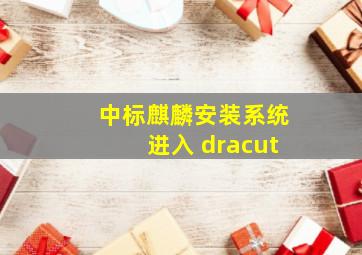 中标麒麟安装系统进入 dracut