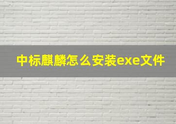 中标麒麟怎么安装exe文件