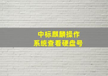 中标麒麟操作系统查看硬盘号