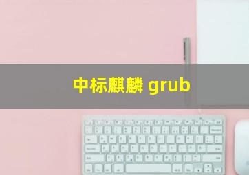 中标麒麟 grub