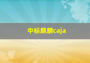 中标麒麟caja