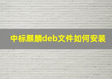 中标麒麟deb文件如何安装