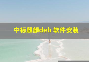 中标麒麟deb 软件安装